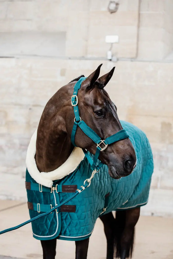 Kentucky Velvet Show Rug Emerald 160 g