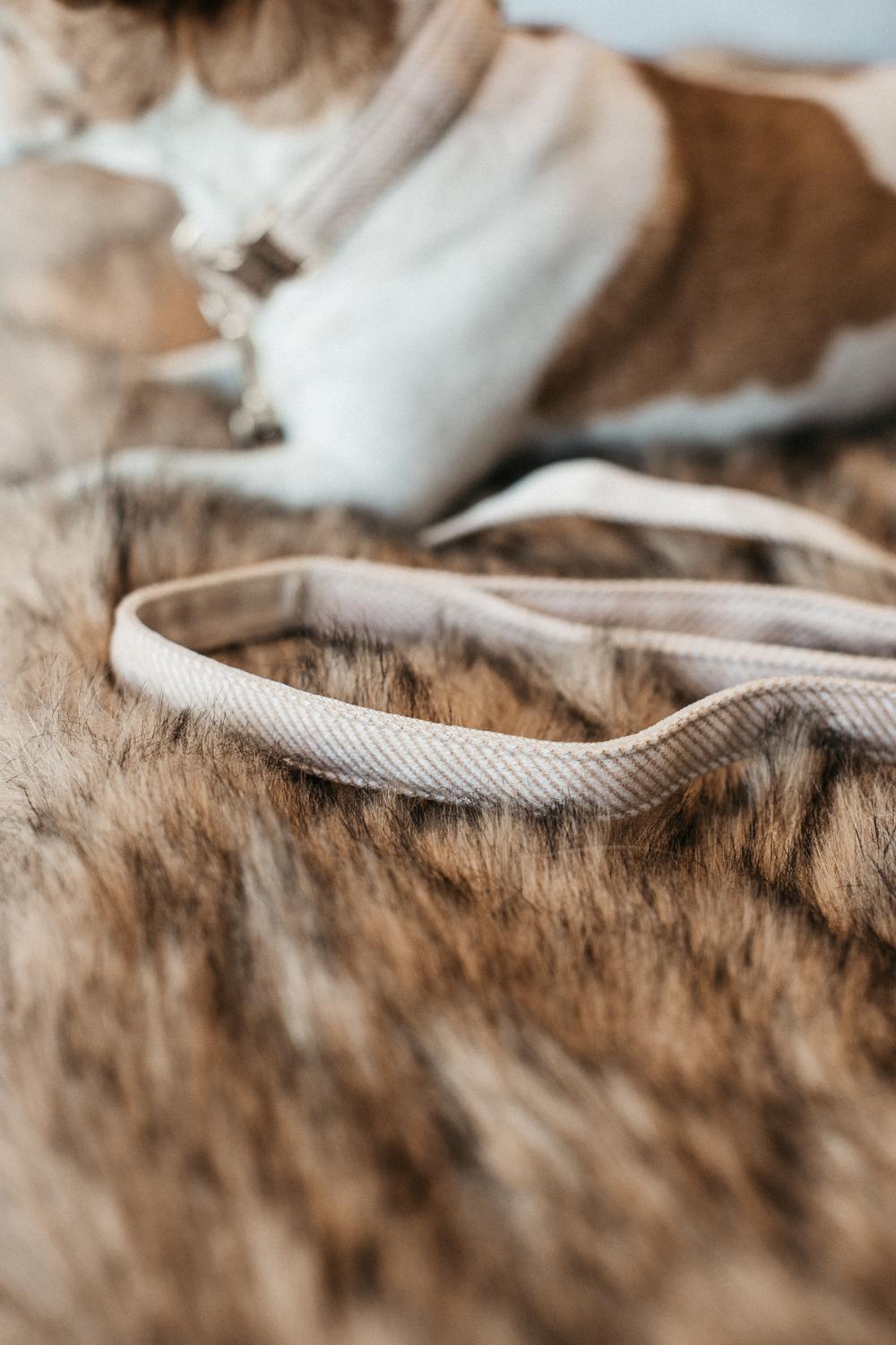 Dog Leash Wool Long | Kentucky Dogwear | Stylish — Image 3