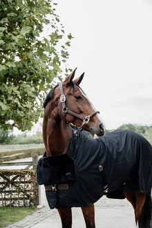  Kentucky Horse Bib Chest Protection Sheepskin Black