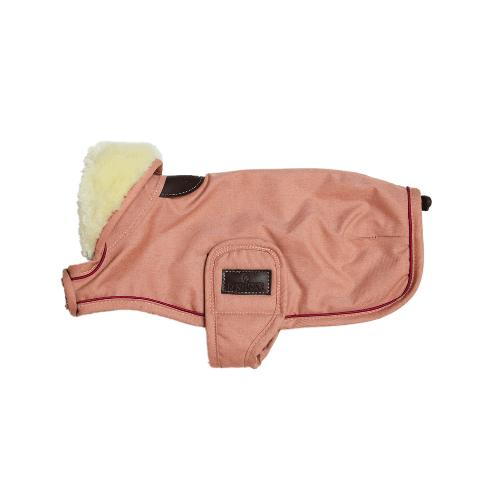 Dog Coat Waterproof 160g | Kentucky Dogwear | Waterproof