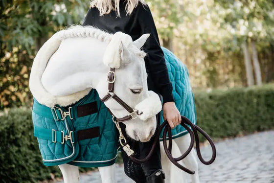 Kentucky Velvet Show Rug Emerald 160 g