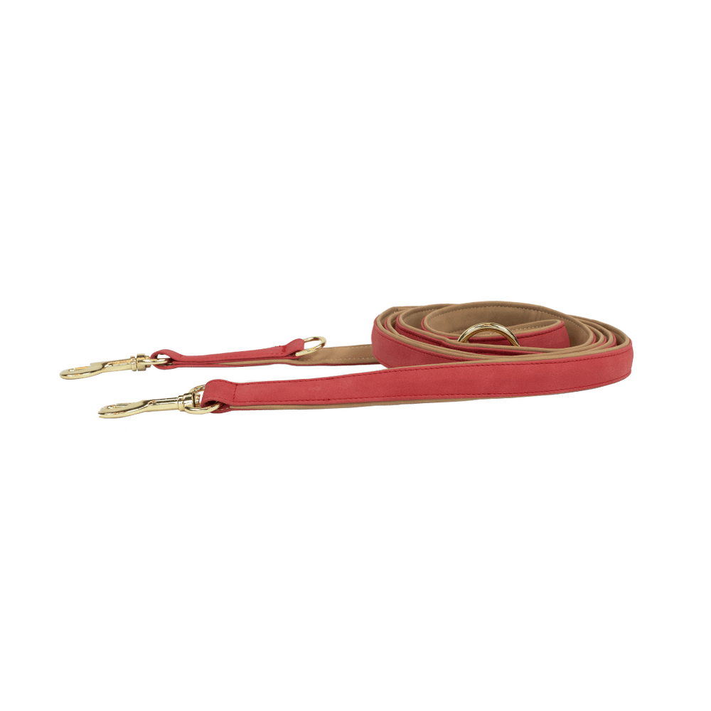 Dog Leash Vegan Leather | Kentucky Dogwear | eco-friendly