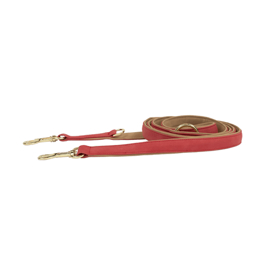 Dog Leash Vegan Leather | Kentucky Dogwear | eco-friendly