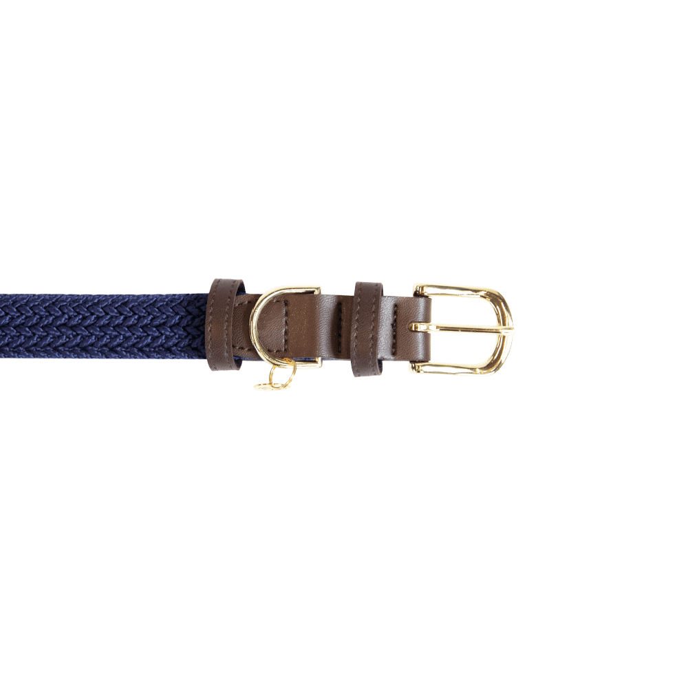 Plaited Nylon Dog Collar | Kentucky Dogwear | Stylish — Image 11