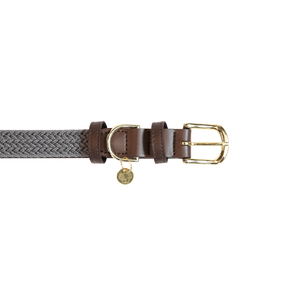 Plaited Nylon Dog Collar | Kentucky Dogwear | Stylish — Image 15