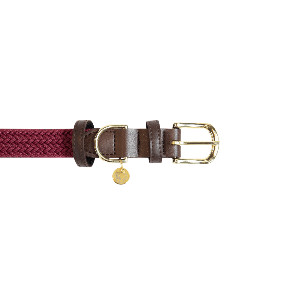 Plaited Nylon Dog Collar | Kentucky Dogwear | Stylish
