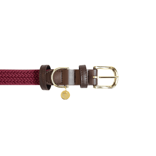 Plaited Nylon Dog Collar | Kentucky Dogwear | Stylish