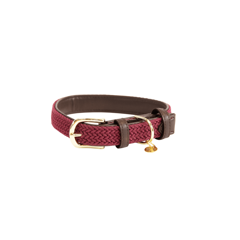 Plaited Nylon Dog Collar | Kentucky Dogwear | Stylish — Image 2