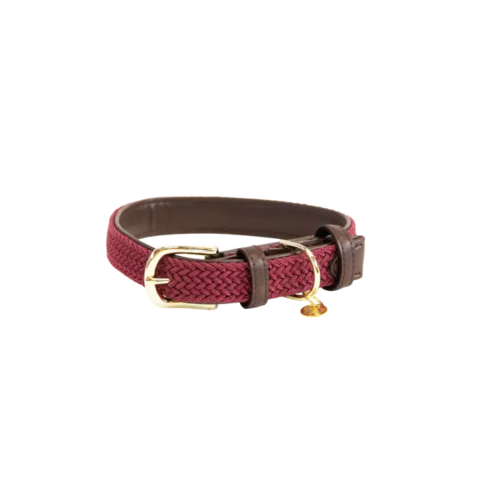 Kentucky Plaited Nylon Dog Collar Bordeaux