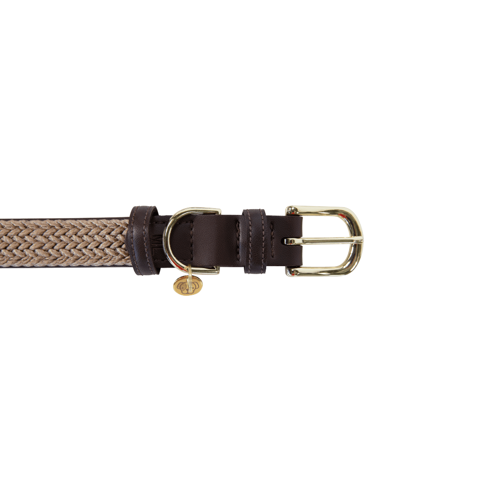 Plaited Nylon Dog Collar | Kentucky Dogwear | Stylish — Image 5