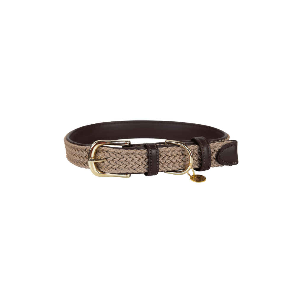 Plaited Nylon Dog Collar | Kentucky Dogwear | Stylish — Image 17