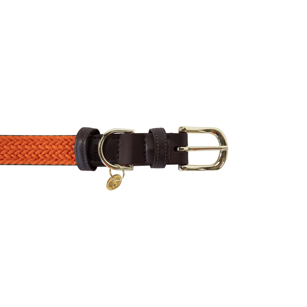 Plaited Nylon Dog Collar | Kentucky Dogwear | Stylish — Image 7