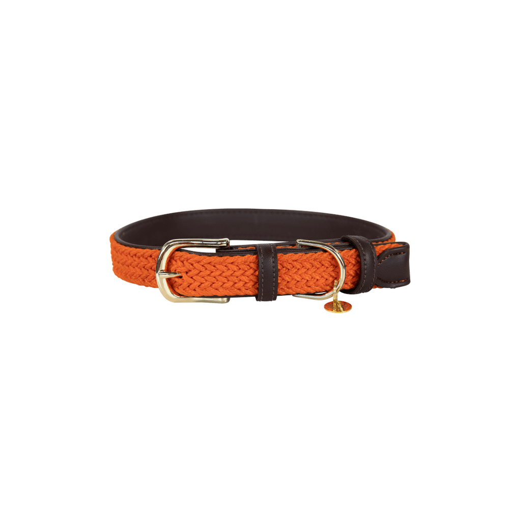 Plaited Nylon Dog Collar | Kentucky Dogwear | Stylish — Image 20