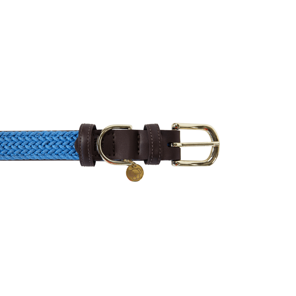 Plaited Nylon Dog Collar | Kentucky Dogwear | Stylish — Image 13