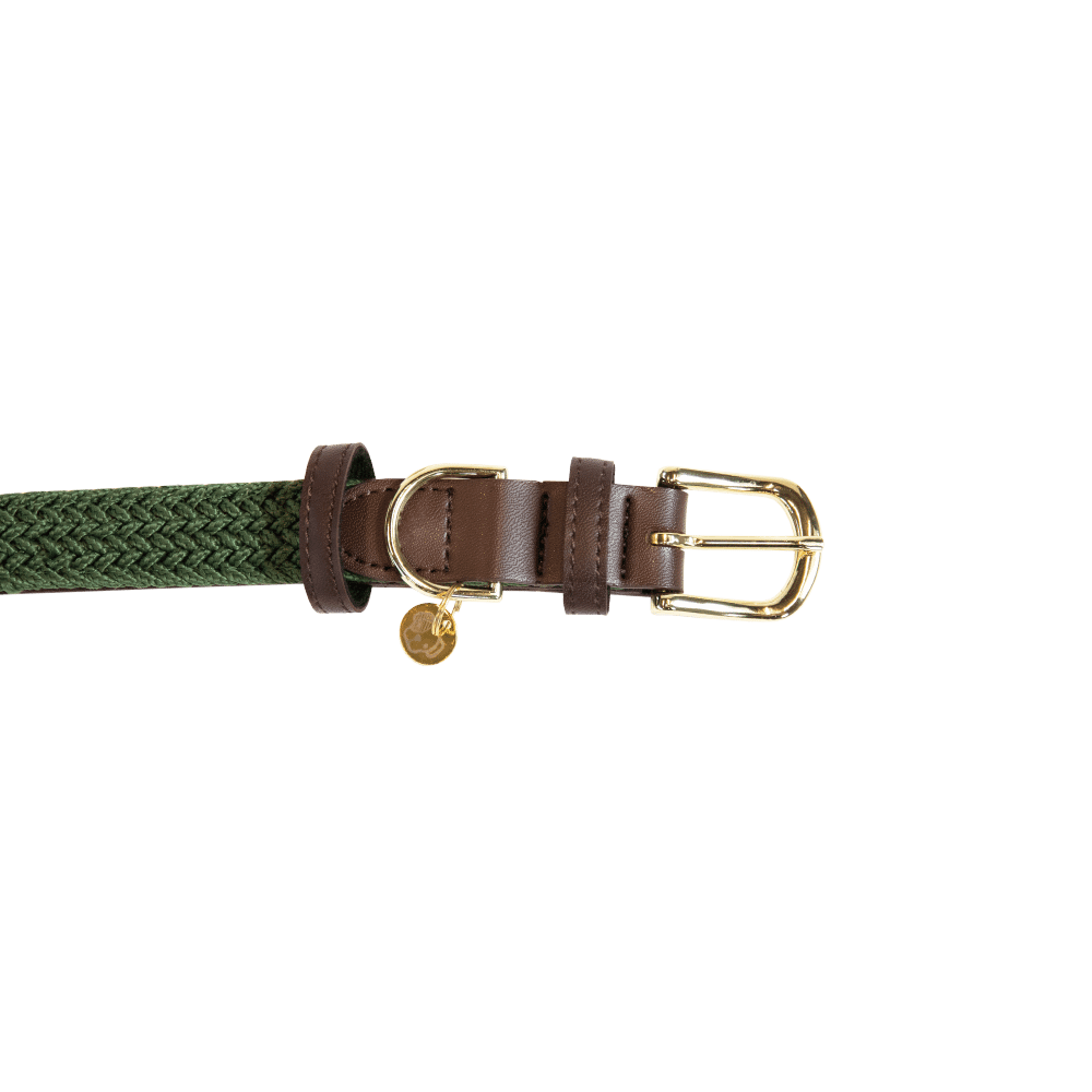 Plaited Nylon Dog Collar | Kentucky Dogwear | Stylish — Image 9