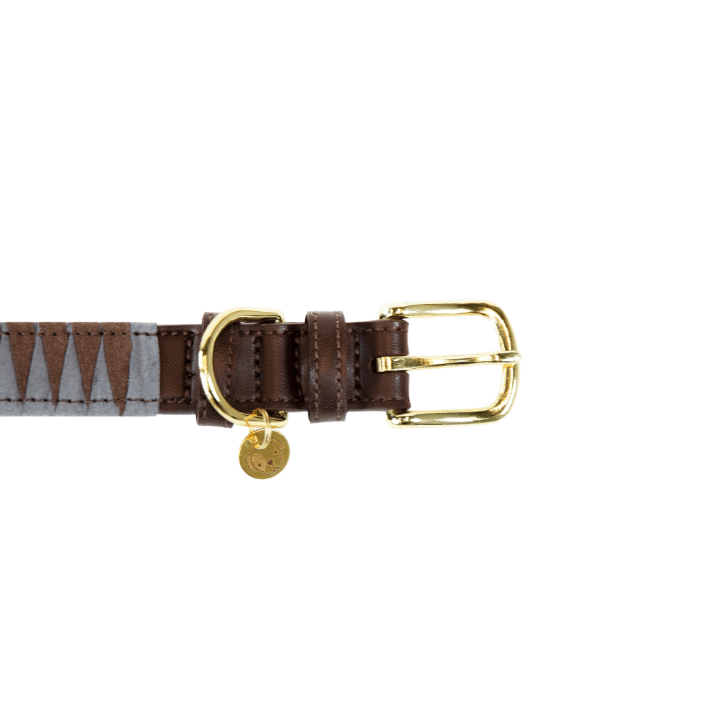 Dog Collar Triangle | Kentucky Dogwear | Durable
