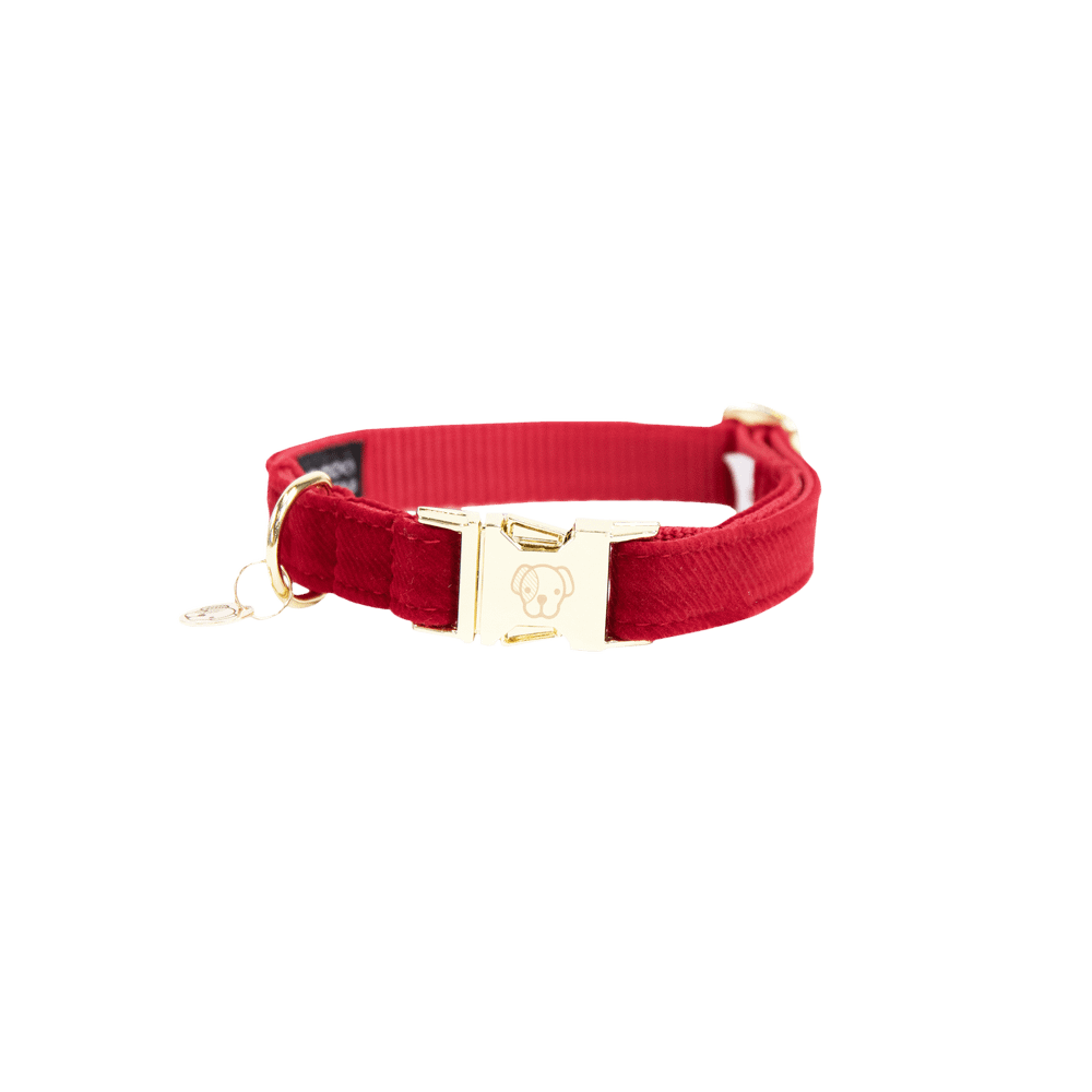 Dog Collar Corduroy | Kentucky Dogwear | Elegant — Image 2