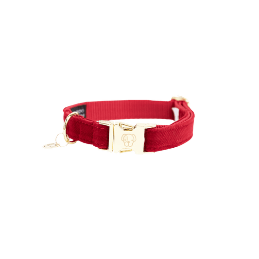 Dog Collar Corduroy | Kentucky Dogwear | Elegant — Image 2