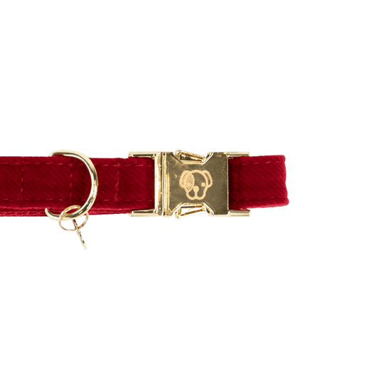 Dog Collar Corduroy | Kentucky Dogwear | Elegant