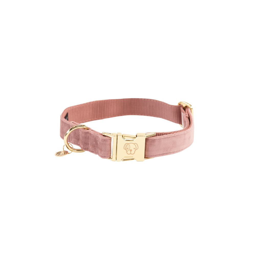 Dog Collar Velvet | Kentucky Dogwear | Stylish — Image 19