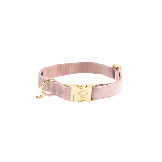 Dog Collar Velvet | Kentucky Dogwear | Stylish