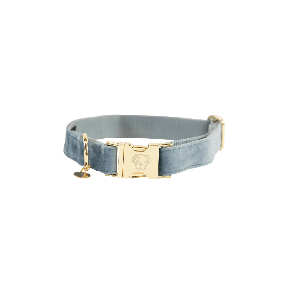 Dog Collar Velvet | Kentucky Dogwear | Stylish — Image 6