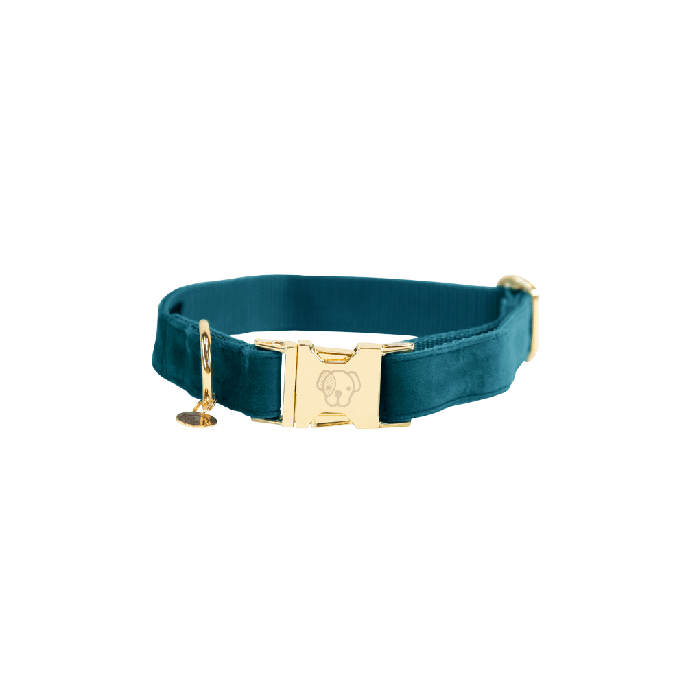 Dog Collar Velvet | Kentucky Dogwear | Stylish — Image 4