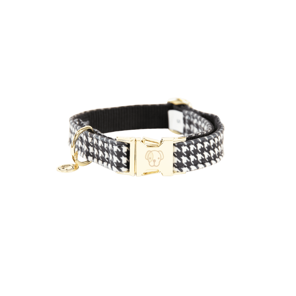 Dog Collar Pied De Poule | Kentucky Dogwear | Stylish — Image 5