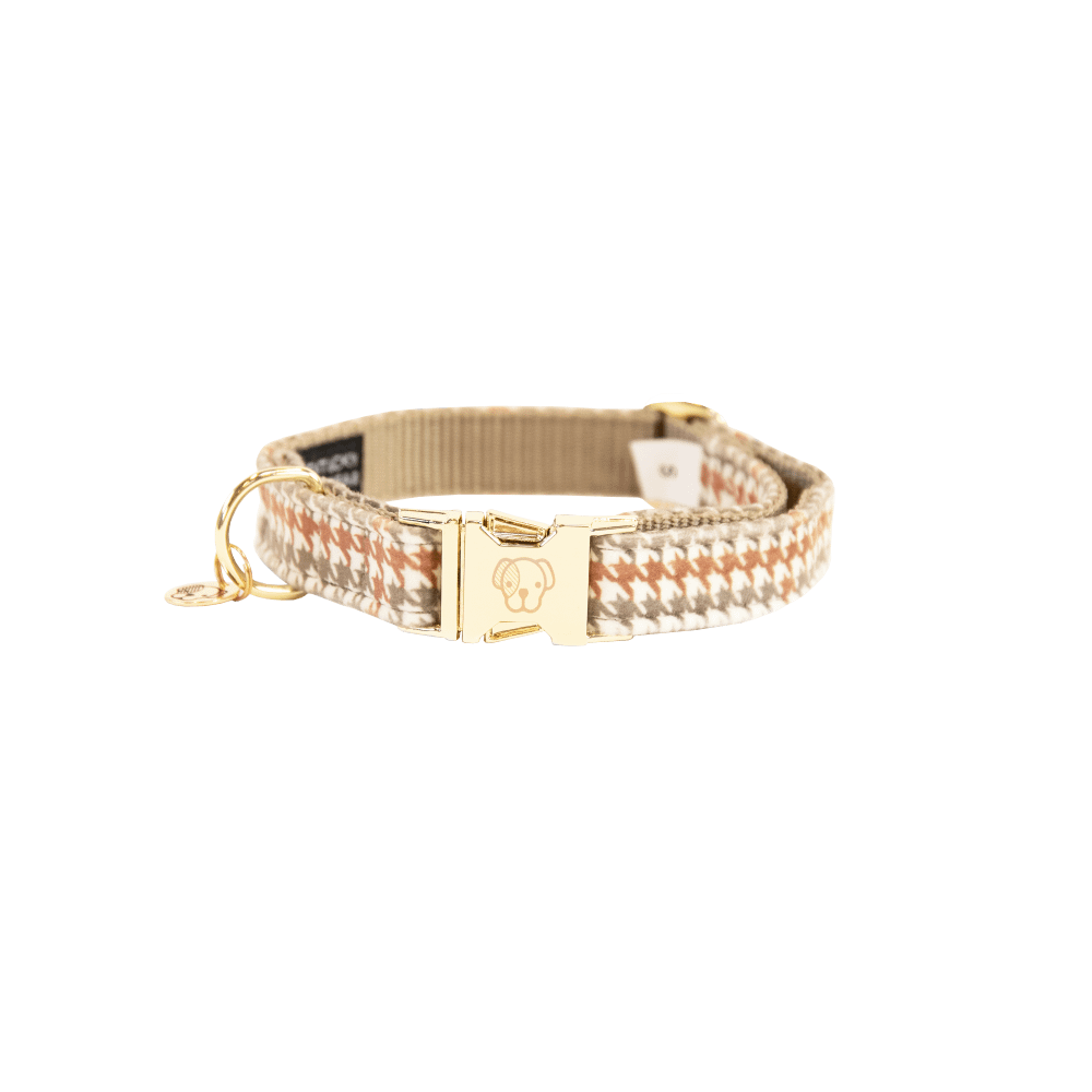 Dog Collar Pied De Poule | Kentucky Dogwear | Stylish