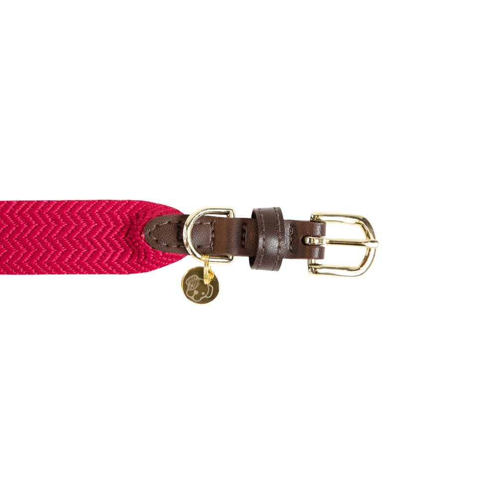 Dog Collar Jacquard | Kentucky Dogwear | Stylish