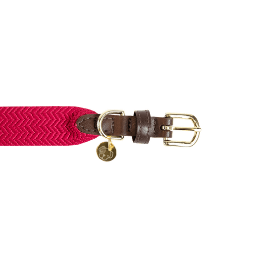 Dog Collar Jacquard | Kentucky Dogwear | Stylish