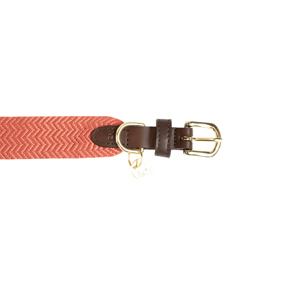 Dog Collar Jacquard | Kentucky Dogwear | Stylish — Image 13