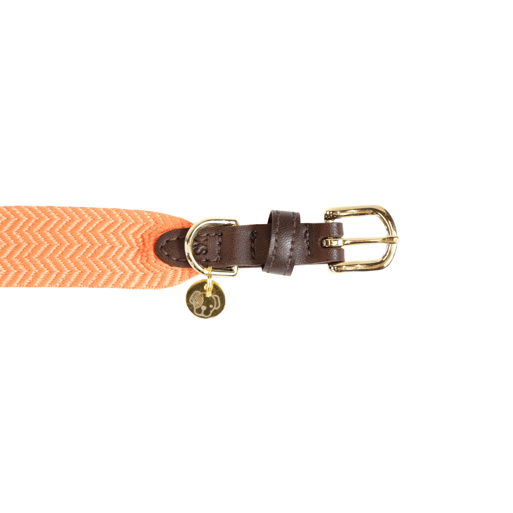 Dog Collar Jacquard | Kentucky Dogwear | Stylish — Image 7
