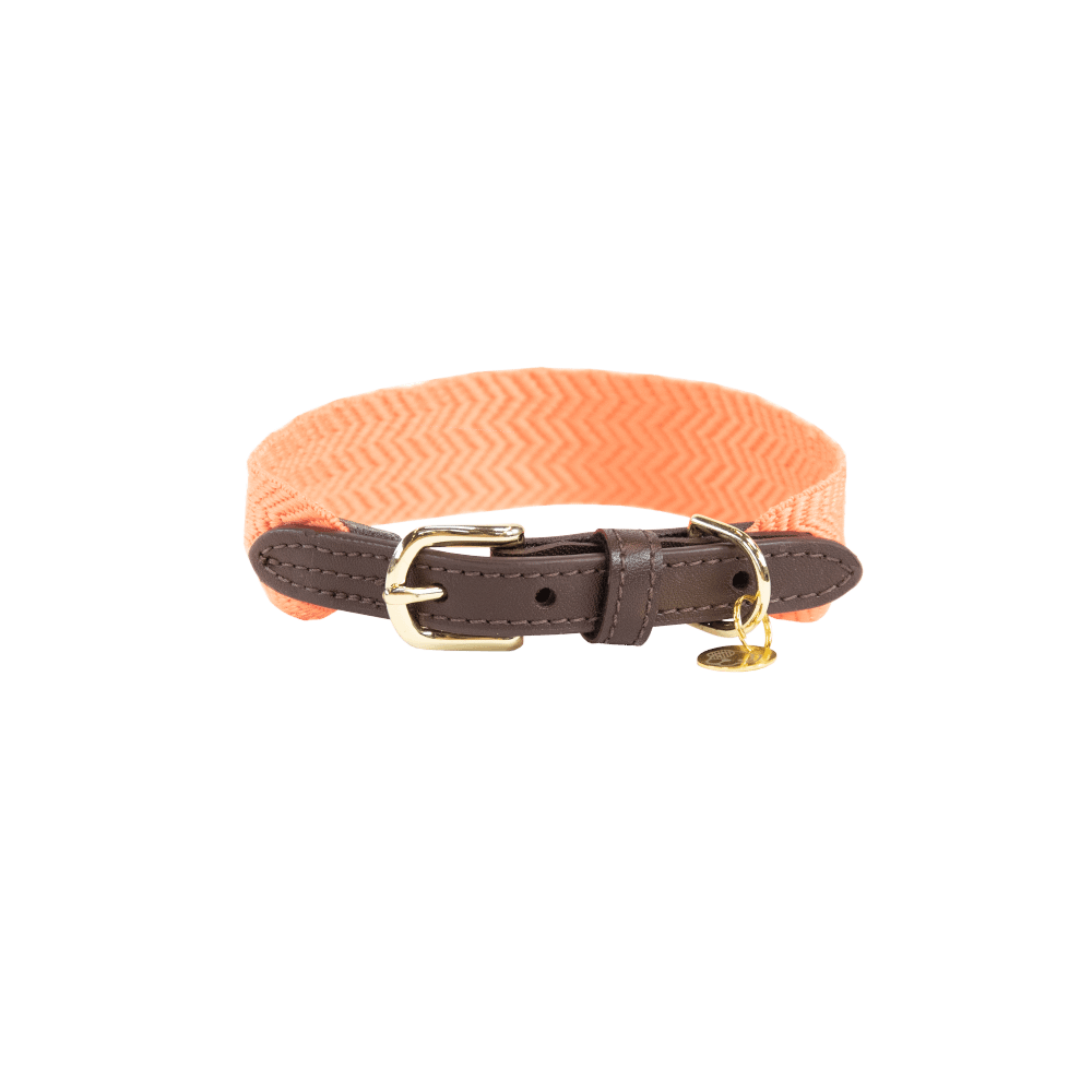 Dog Collar Jacquard | Kentucky Dogwear | Stylish — Image 15