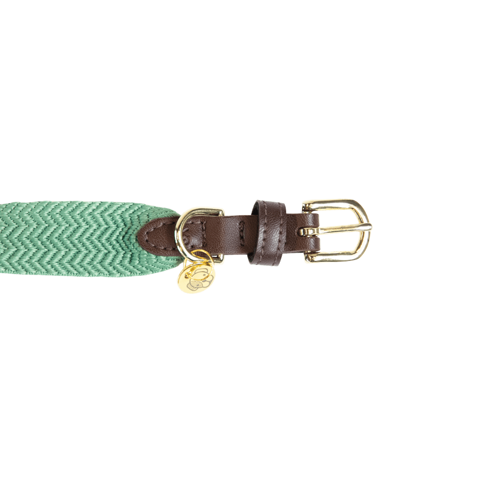 Dog Collar Jacquard | Kentucky Dogwear | Stylish — Image 11