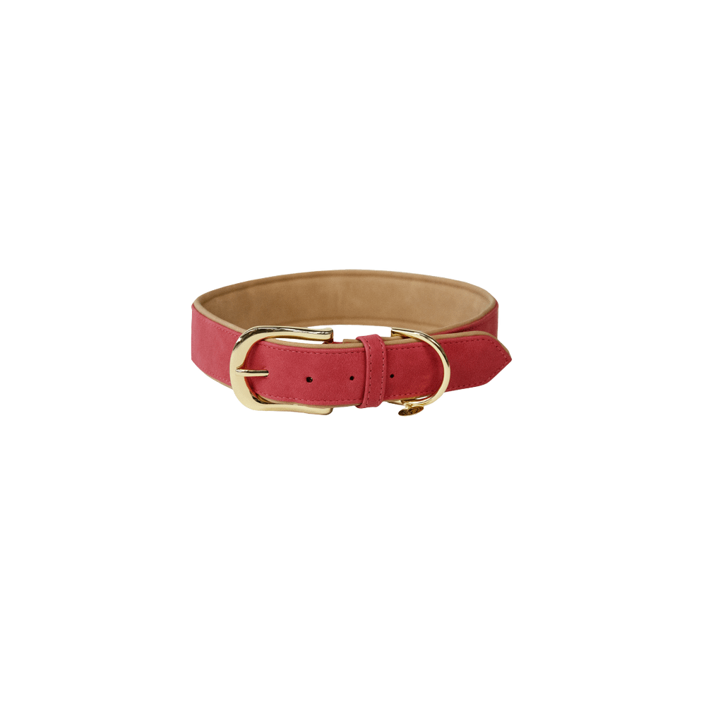 Dog Collar Soft Vegan Leather | Kentucky Dogwear | eco-friendly — Image 2