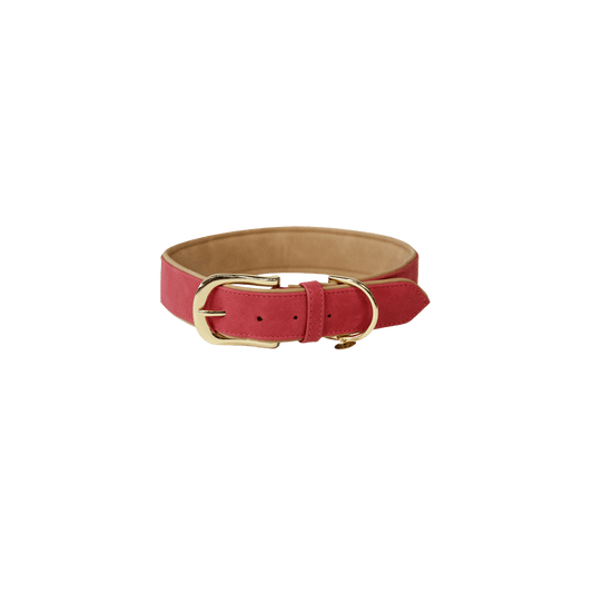 Dog Collar Soft Vegan Leather | Kentucky Dogwear | eco-friendly — Image 2