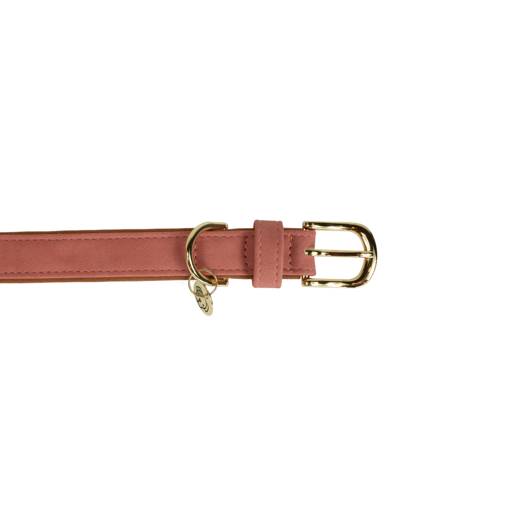 Dog Collar Soft Vegan Leather | Kentucky Dogwear | eco-friendly — Image 6