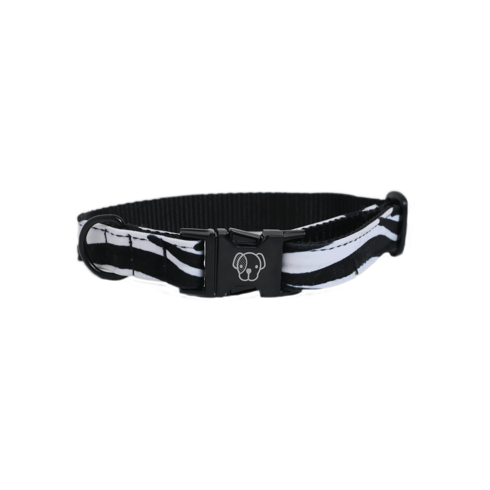 Dog Collar Zebra | Kentucky Dogwear | Stylish