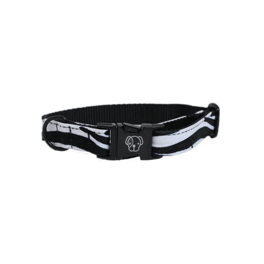 Dog Collar Zebra | Kentucky Dogwear | Stylish