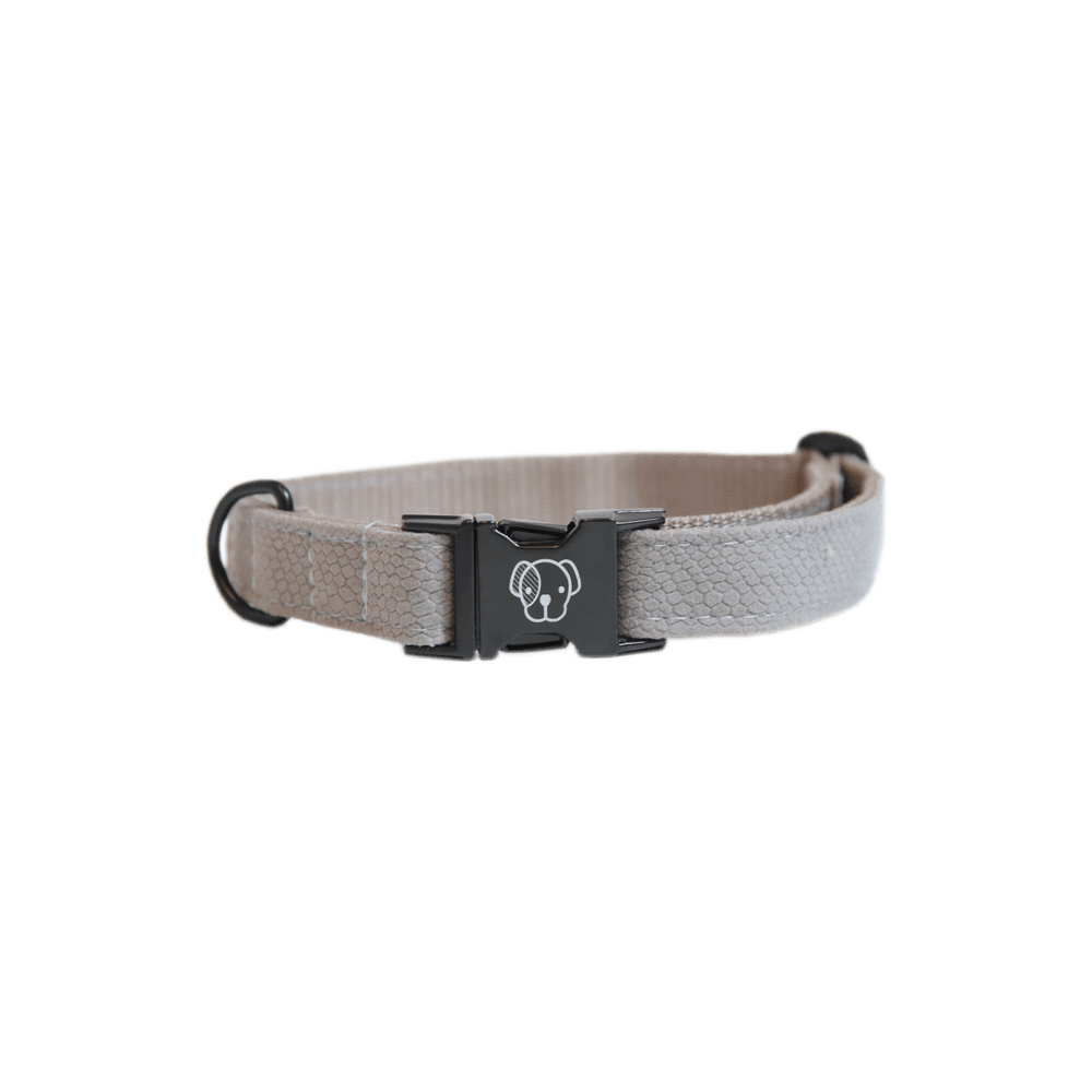 Dog Collar Lizard | Kentucky Dogwear | Stylish