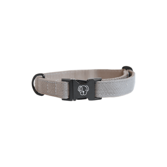 Dog Collar Lizard | Kentucky Dogwear | Stylish