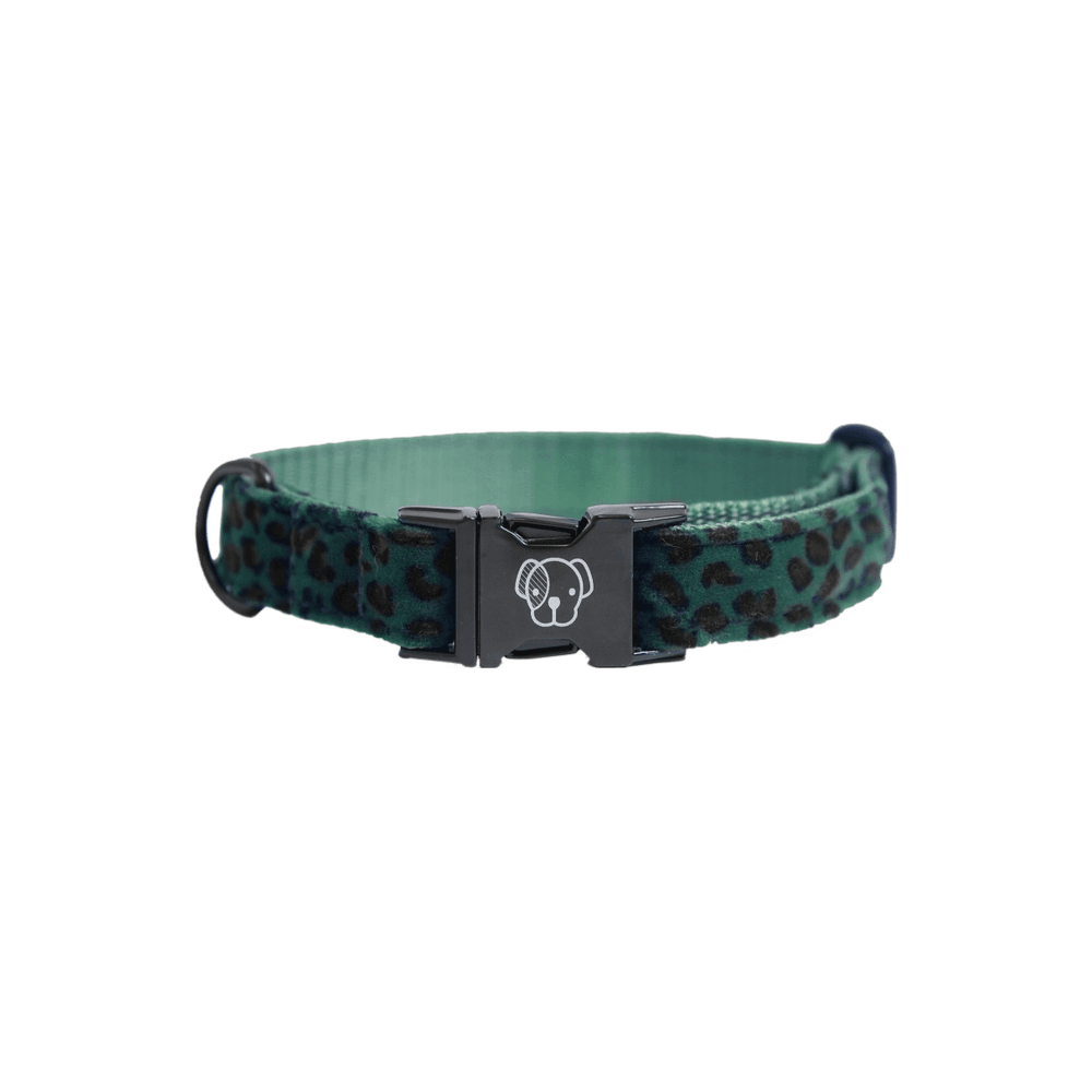 Dog Collar Leopard | Kentucky Dogwear | Fashionable