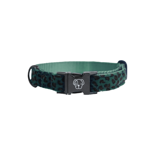 Dog Collar Leopard | Kentucky Dogwear | Fashionable