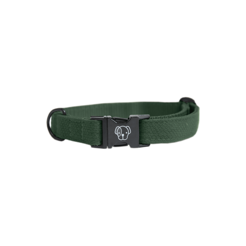 Dog Collar Lizard | Kentucky Dogwear | Stylish — Image 3