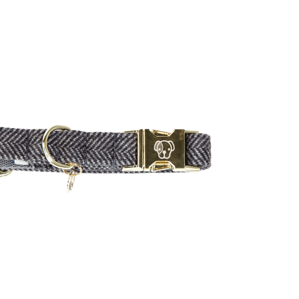 Dog Collar Wool | Kentucky Dogwear | Stylish