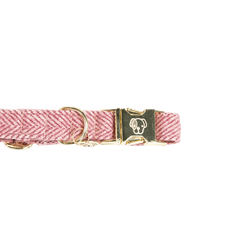 Dog Collar Wool | Kentucky Dogwear | Stylish — Image 7