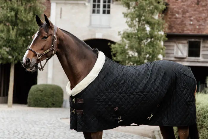 Kentucky Show Rug Black 160 g