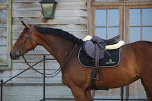  Kentucky Saddle Pad Black/White/Brown