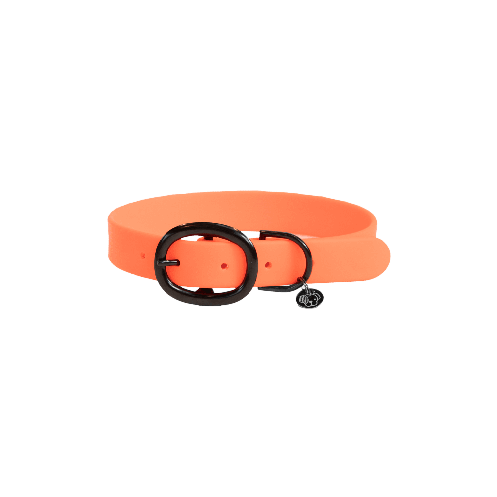 Dog Collar Soft Rubber | Kentucky Dogwear | Comfort — Image 9
